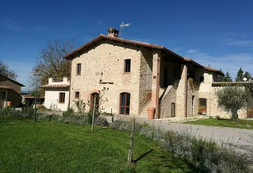 تختخواب و صبحانه Il Casale Dei Nonni