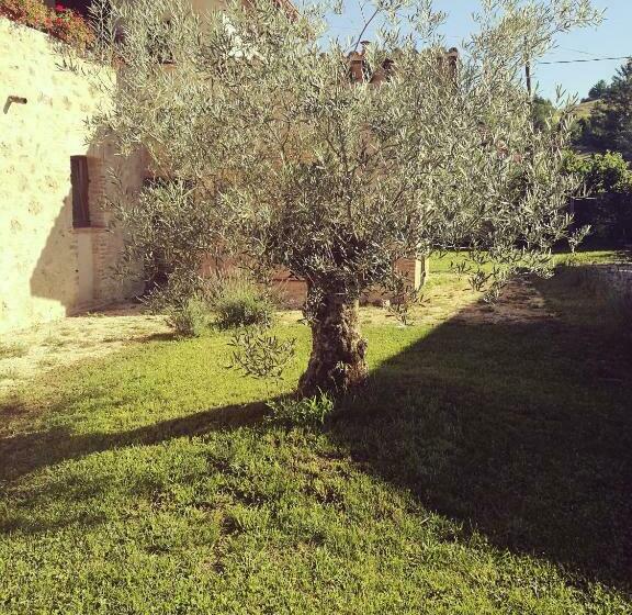 تختخواب و صبحانه Il Casale Dei Nonni