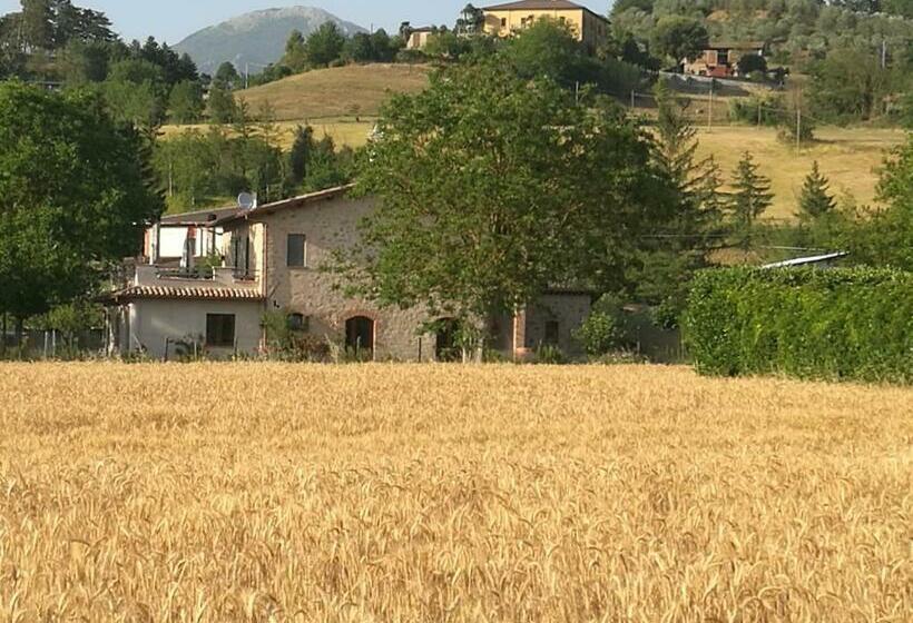 تختخواب و صبحانه Il Casale Dei Nonni