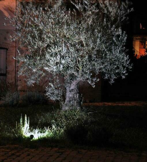 تختخواب و صبحانه Il Casale Dei Nonni