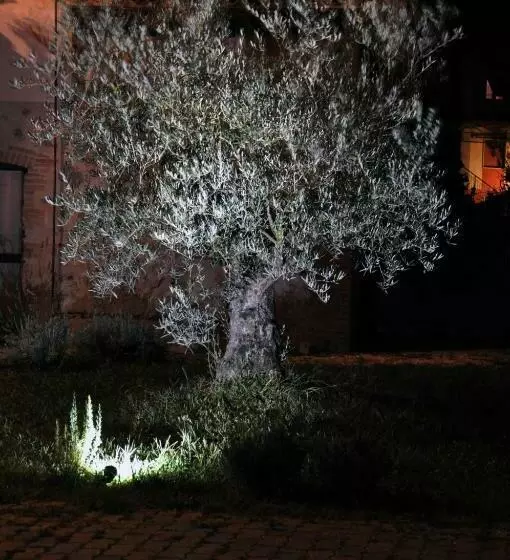 تختخواب و صبحانه Il Casale Dei Nonni
