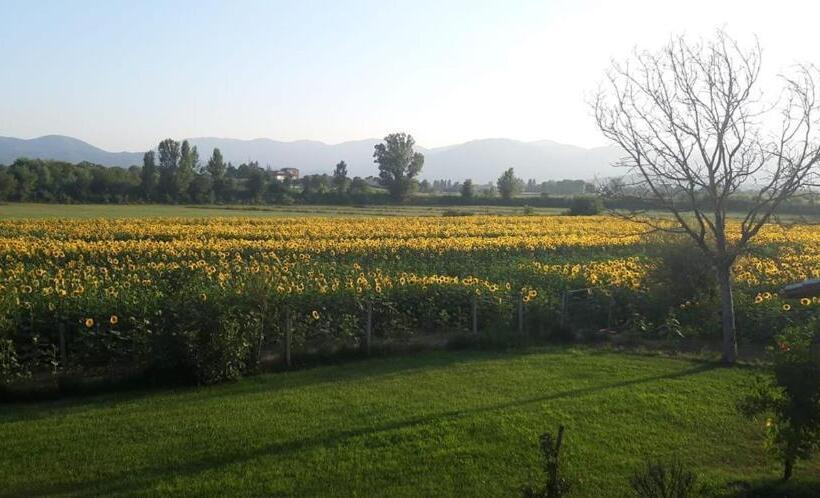 تختخواب و صبحانه Il Casale Dei Nonni