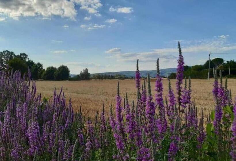 تختخواب و صبحانه Il Casale Dei Nonni