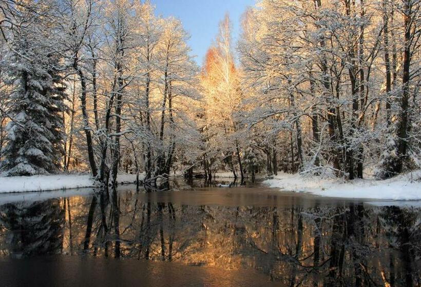 Bed & Breakfast Joutseno Bb