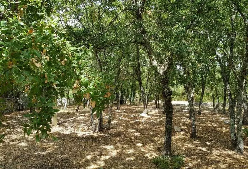 Aamiaismajoitus (B&B) Villa Venus Woods