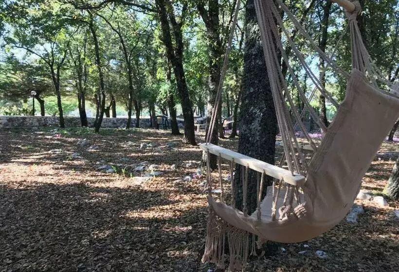 Aamiaismajoitus (B&B) Villa Venus Woods