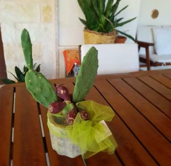 Aamiaismajoitus (B&B) Villa Venus Woods