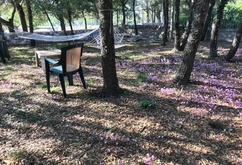 Aamiaismajoitus (B&B) Villa Venus Woods