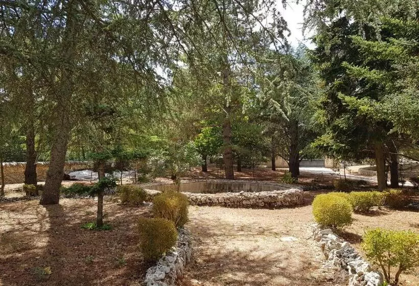 Aamiaismajoitus (B&B) Villa Venus Woods