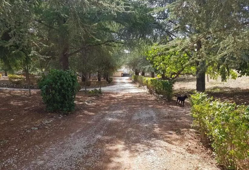 Aamiaismajoitus (B&B) Villa Venus Woods