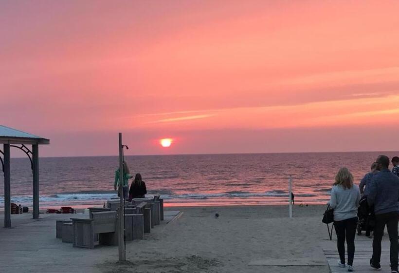 ペンション Evy S Place