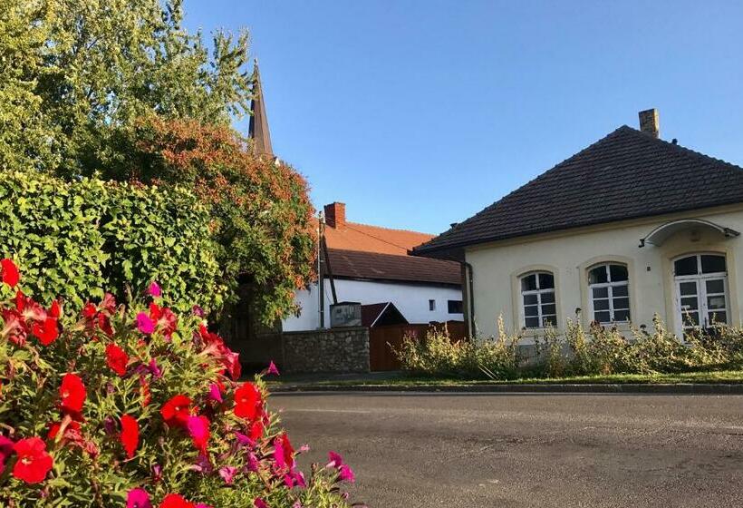 펜션 Origo Vendégház