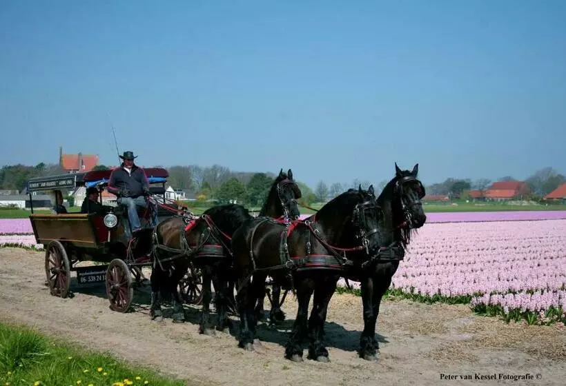 ペンション Sterrenhoeve