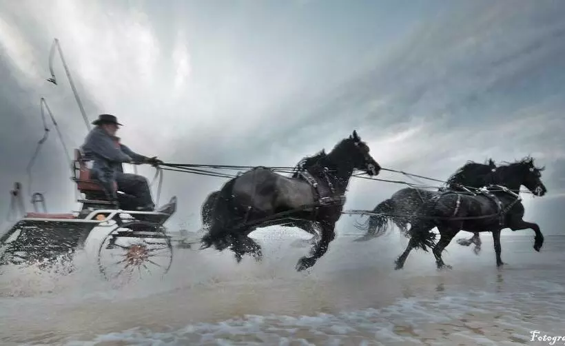 ペンション Sterrenhoeve