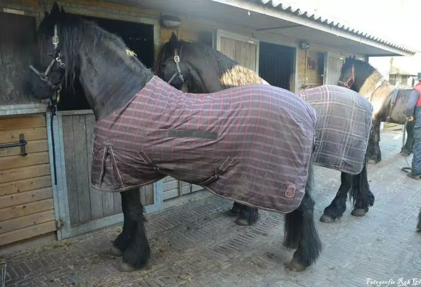 ペンション Sterrenhoeve