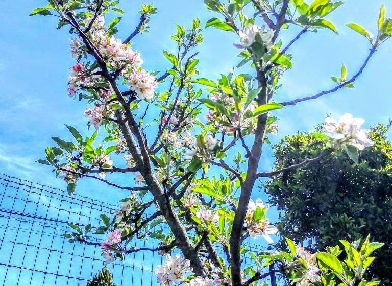 Bed and Breakfast Casa Vale Do Rio Ovil