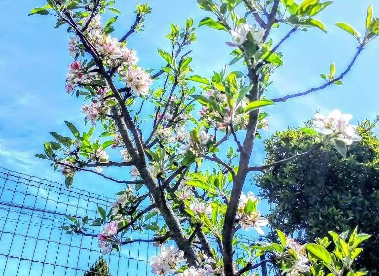 ベッドアンドブレックファースト Casa Vale Do Rio Ovil