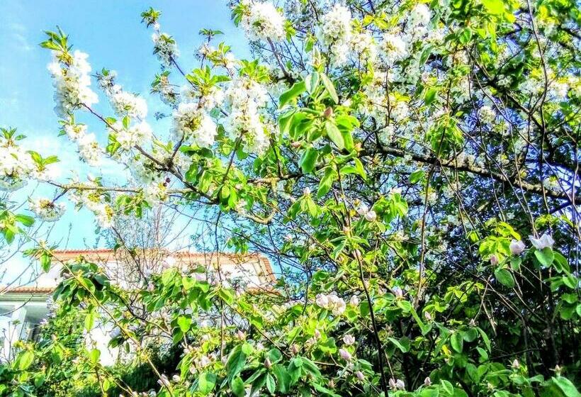 Bed and Breakfast Casa Vale Do Rio Ovil