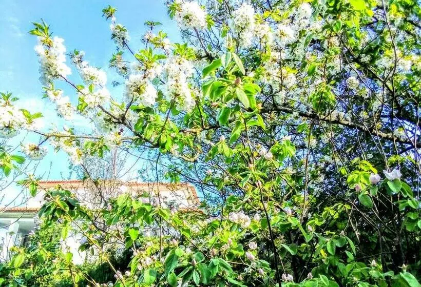 ベッドアンドブレックファースト Casa Vale Do Rio Ovil