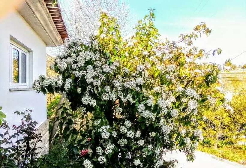 ベッドアンドブレックファースト Casa Vale Do Rio Ovil