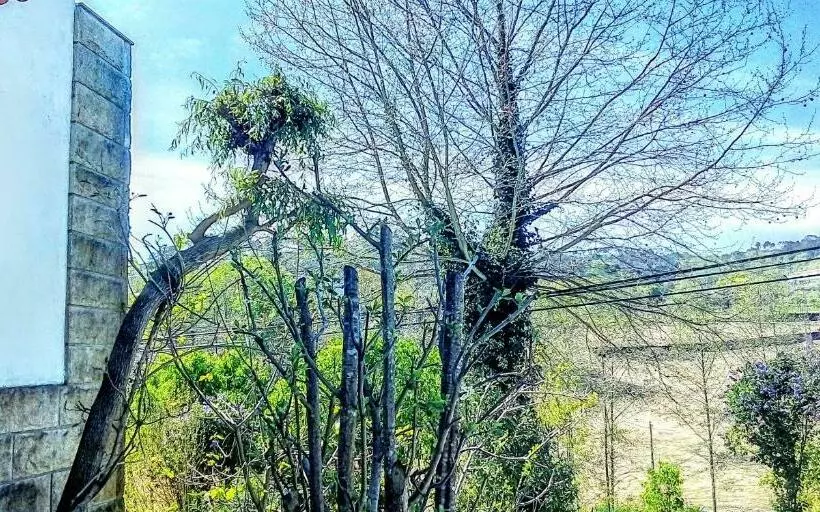 ベッドアンドブレックファースト Casa Vale Do Rio Ovil