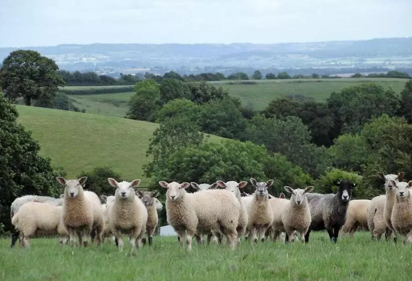 Aamiaismajoitus (B&B) Deepaller Farm