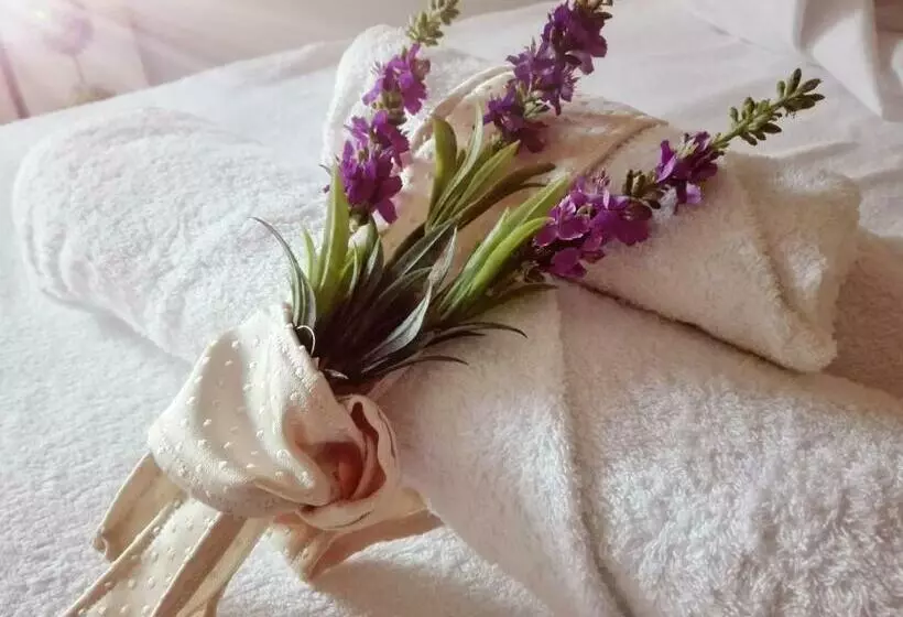 Bed And Breakfast Elettra