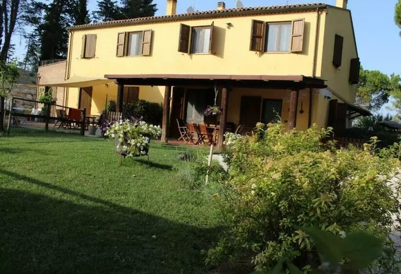 Bed and Breakfast Il Gelso Nero