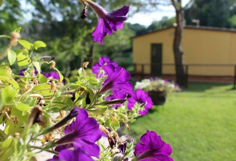 Bed and Breakfast Il Gelso Nero