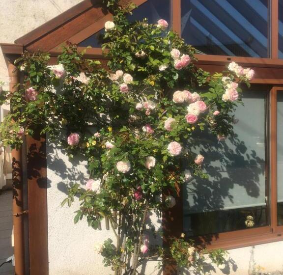 تختخواب و صبحانه L Orme Seul, Maison D Hôtes