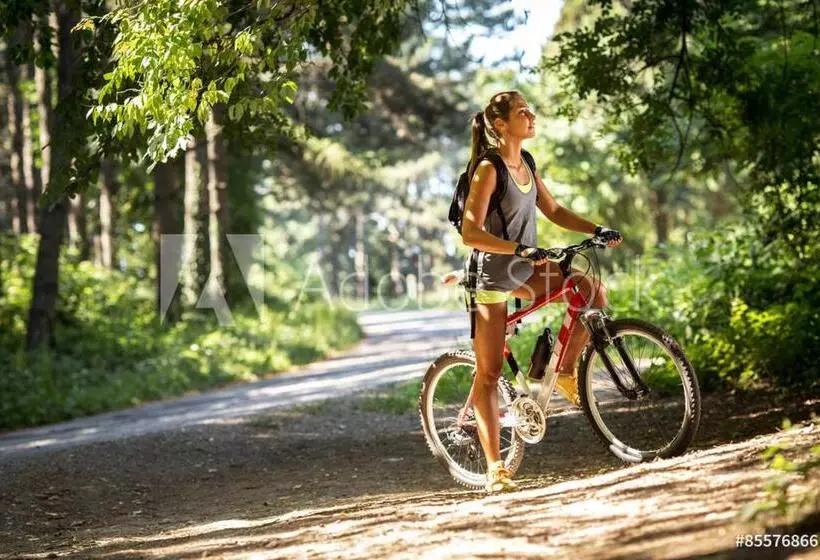 ベッドアンドブレックファースト Le Collet Vert