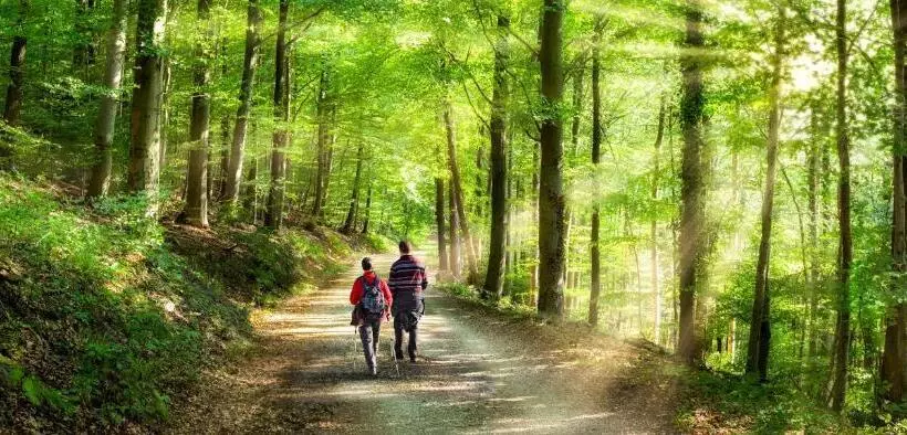 ベッドアンドブレックファースト Le Collet Vert