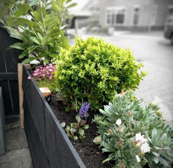 Bed & Breakfast De Schans