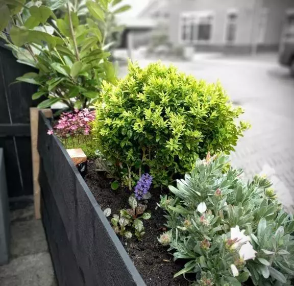 Bed & Breakfast De Schans