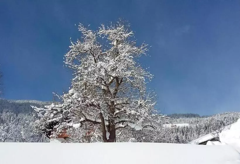 ホテル Schartlhof