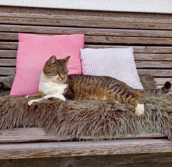 בית מלון כפרי Schartlhof