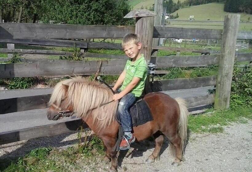 בית מלון כפרי Schartlhof