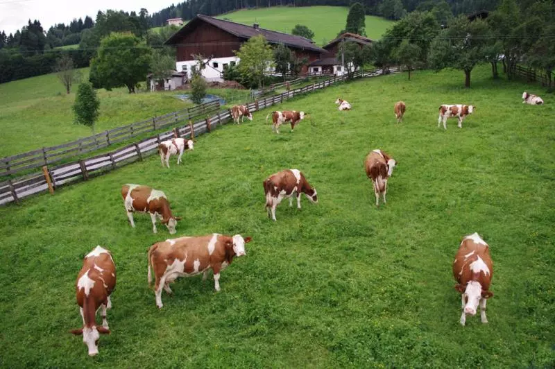 ホテル Schartlhof