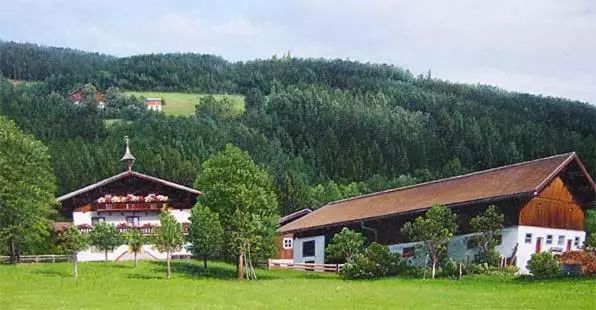 ホテル Schartlhof