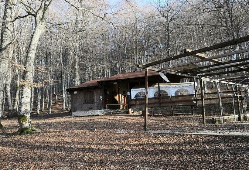 Il Sasso Bed & Breakfast