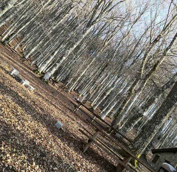 Il Sasso Bed & Breakfast