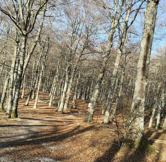 Il Sasso Bed & Breakfast