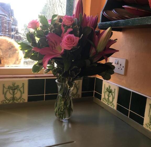 پانسیون Brackenberry