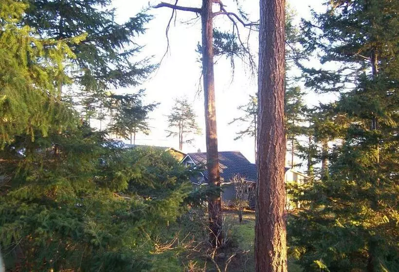 Majatalo Malaspina Strait Cottage