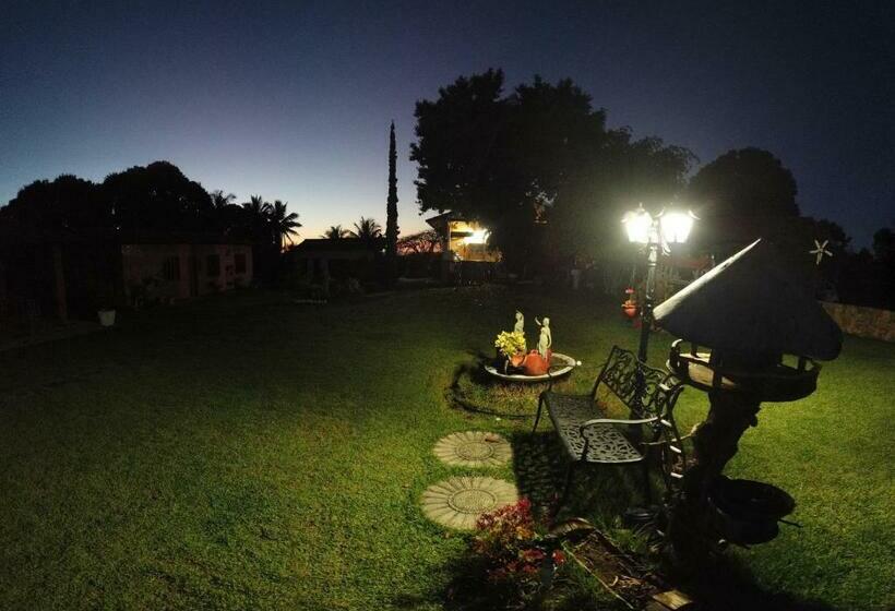 پانسیون Sitio Toca Do Leao