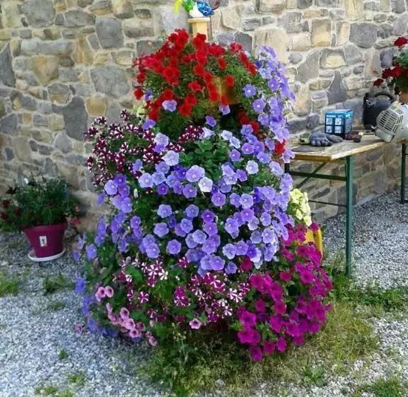 ユースホステル Maria S Sonnenquartier