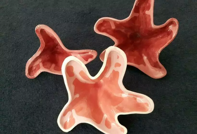 B&b De Kunstpraktijk