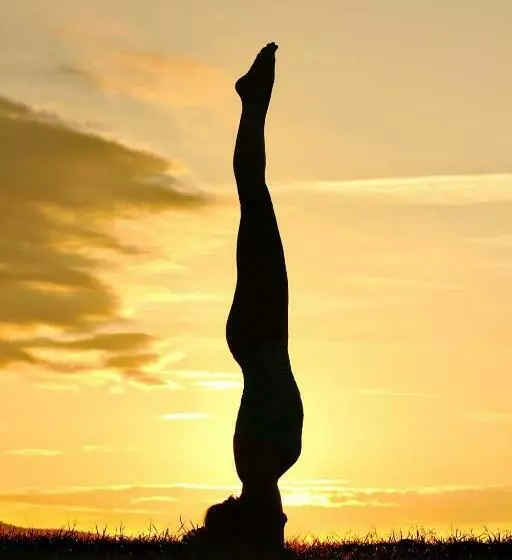 Aamiaismajoitus (B&B) Agriturismo Le Tassinaie