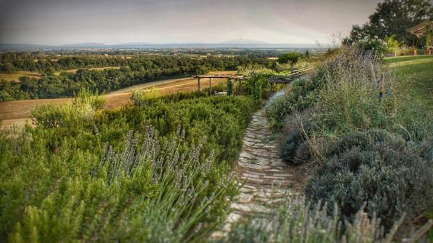 مبيت وإفطار Agriturismo Le Tassinaie