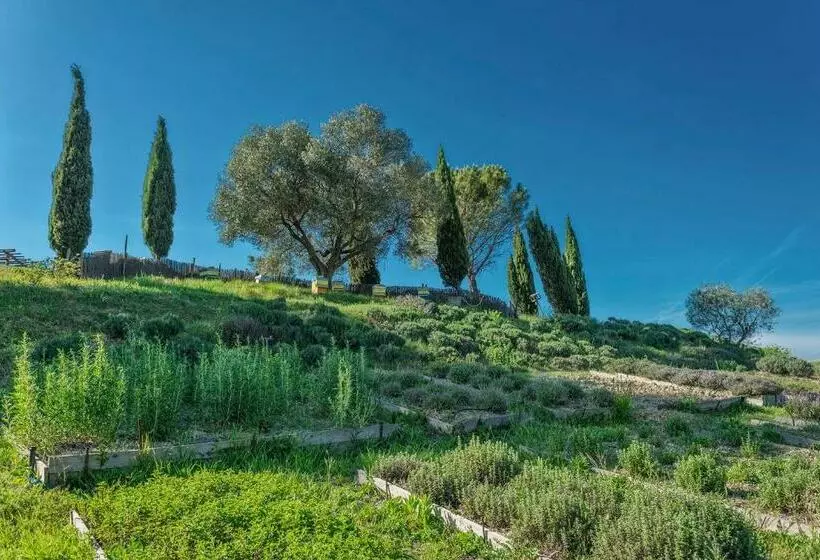 Aamiaismajoitus (B&B) Agriturismo Le Tassinaie